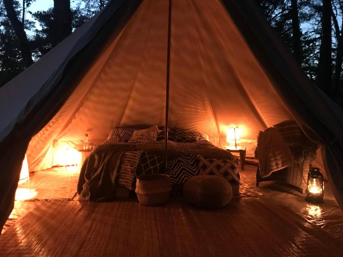 Forest Glamping Värmdö Exterior foto